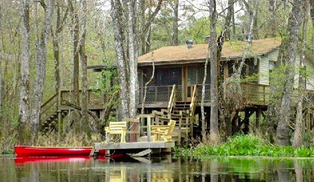 Peaceful Pet-Friendly Cabin Rental on St. Marks River near Tallahassee, Florida