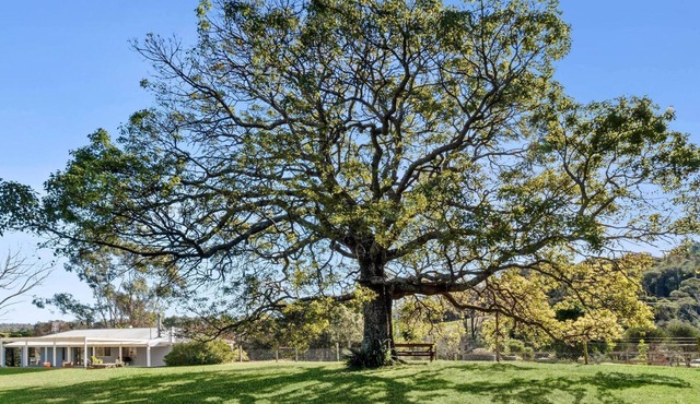 Peaceful pet friendly home on acres