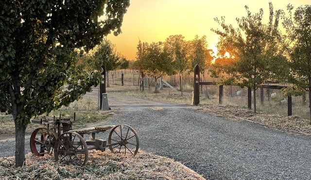 Peaceful & Picturesque Farm Stay Only 5 Mins Drive From Benalla Township