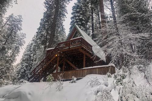 Peaceful Pine Getaway