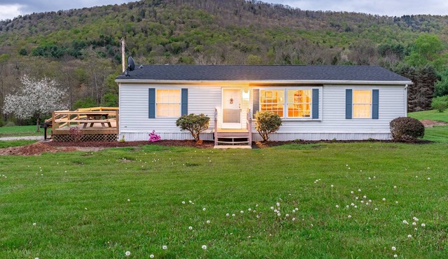 Peaceful Pine Lodge | Right On Pine Creek | HOT TUB