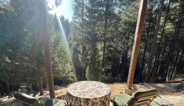 Peaceful Pines in Secluded Hideaway