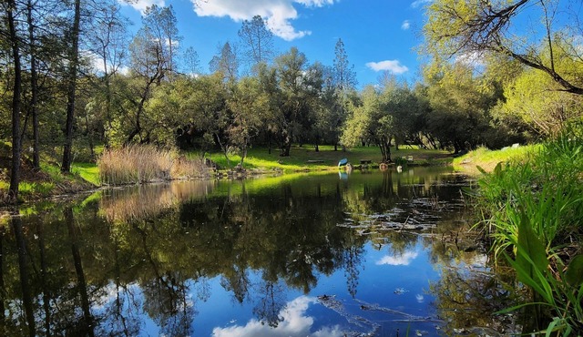 Peaceful Pond Retreat - Waterfront Camper Glamping