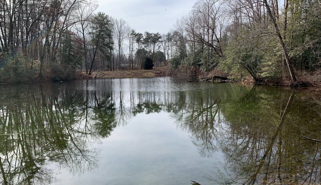 Peaceful Pond Retreat offers a home away from home!