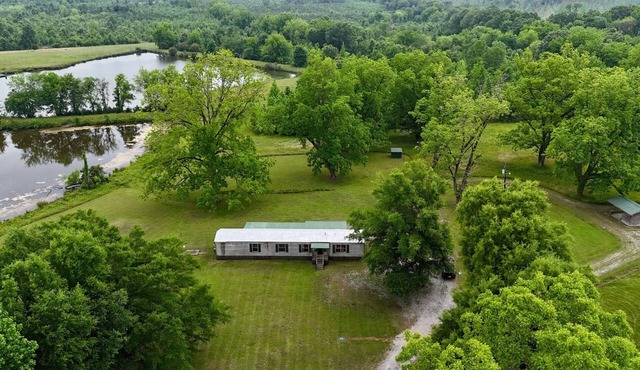 Peaceful Pondside Retreat in Catherine, Alabama