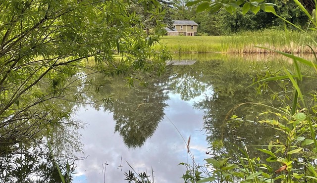 Peaceful Port Bay retreat for fall or holiday stay