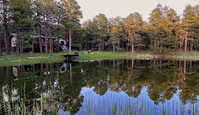 Peaceful private 15 acres, hot tub & pond! Black forest - 25 mins from Springs