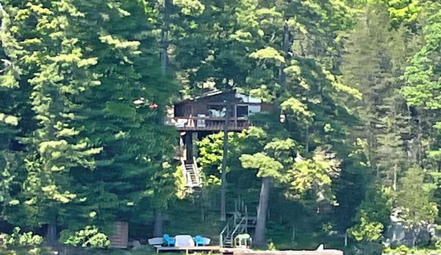 Peaceful/private cottage experience w/bunkie and kayaks (pet friendly)