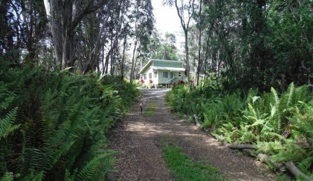 Peaceful Private Getaway In The Forest