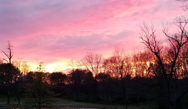 Peaceful, private guest suite with a hot tub!!