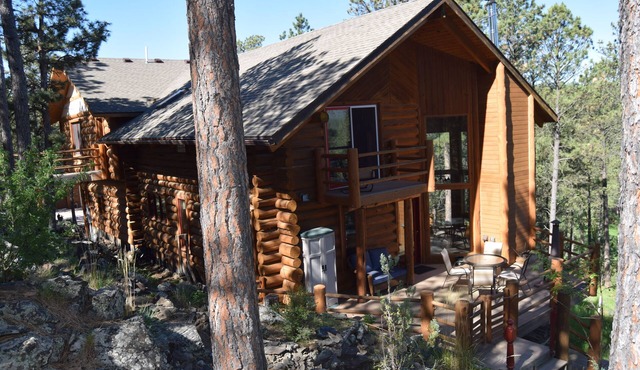 Peaceful, private log home with exceptional views and amenities