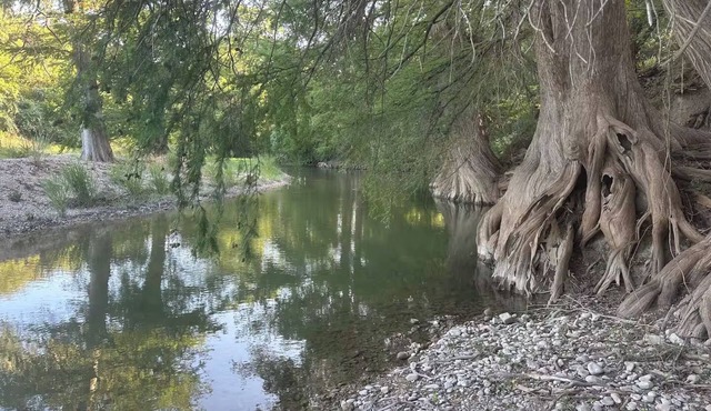 Peaceful & Private Riverfront Modern 3/3 on a 1.7 Acre Nature Dog Friendly