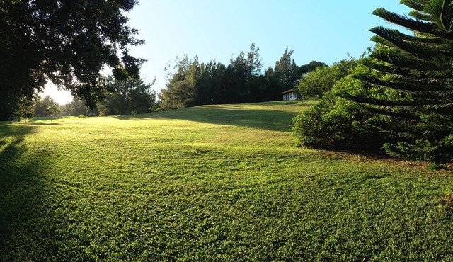 Peaceful & Private Studio - 12 Acre Hobby Organic Fruit Farm - Beach 10min