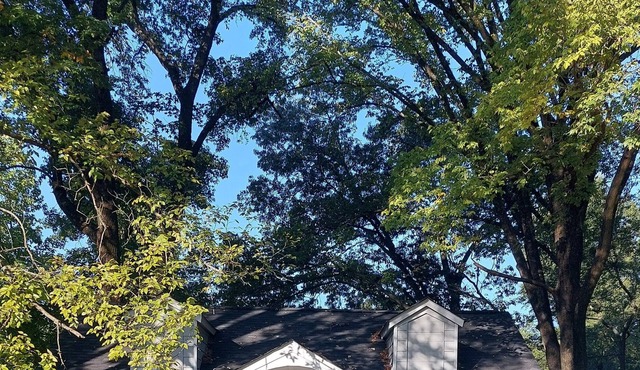 Peaceful & relaxing place to enjoy!