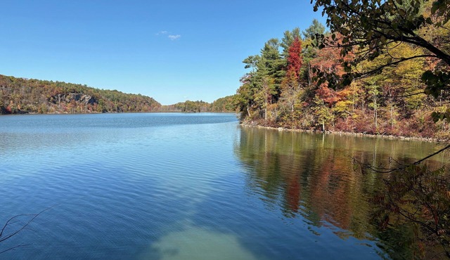 Peaceful Remodeled Lake Cottage - New 2026 Listing