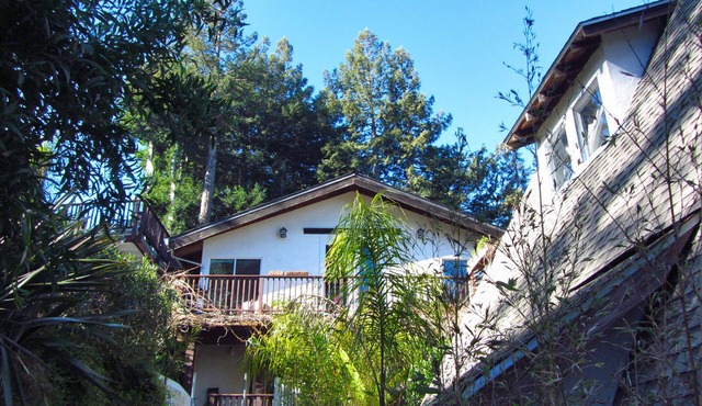 Peaceful Retreat Compound Part or All, $1500 to $3100 per night.