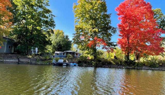 Peaceful riverside cottage-Tranquil views & private outdoor space