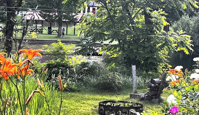 Peaceful Riverside Park Cottage in the town of Bancroftnfree parking/fireplace