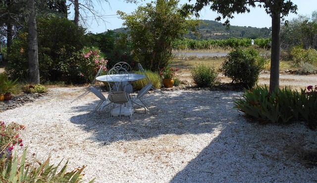 Peaceful rural location surrounded by vines and olives - Artists haven.