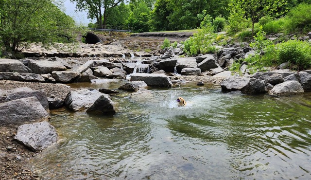 Peaceful, Rustic Chalet in the Woods; the Heart of Ski, Bike, and Hike country.