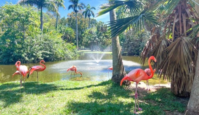 Peaceful Sarasota Stay Professionals Long Stays