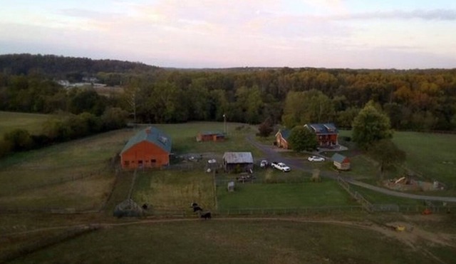 Peaceful secluded farm close to town, serenity of 2 miles of waterfront