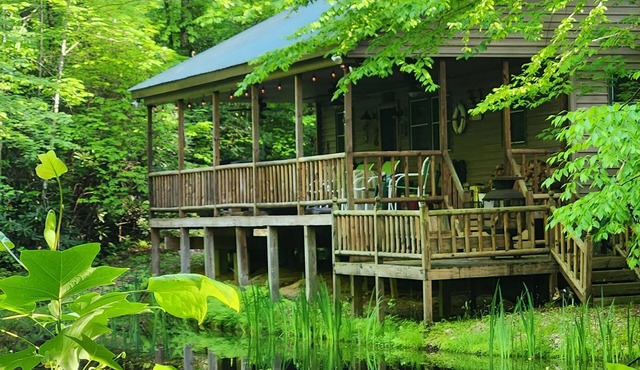 PEACEFUL SECLUDED CABIN IN THE "MOUNTAINS" OF DOE VALLEY!