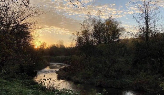 Peaceful & Serene 120 Acre Mountain Farm Retreat