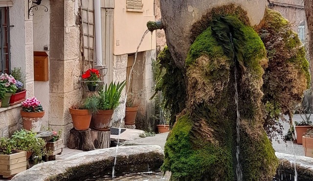 Peaceful Studio with garden close to the village