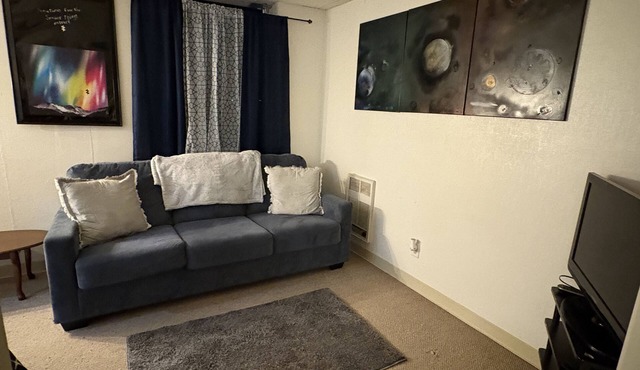 Peaceful Study 1-bedroom apartment in brilliant Geneseo with WiFi