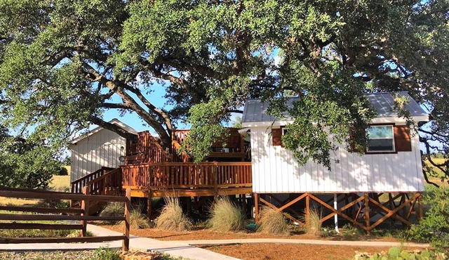 Peaceful Texas Hill Country Rental Perfect for Glamping Around Austin