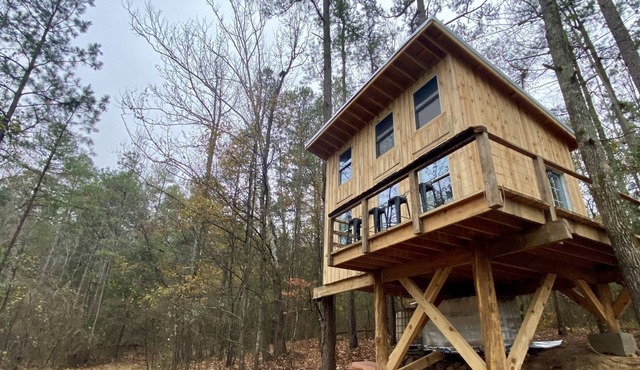 Peaceful Treehouse in the Forest