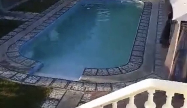 Peaceful Tropical Retreat 30 minutes from Salinas and Palmar de Ocoa