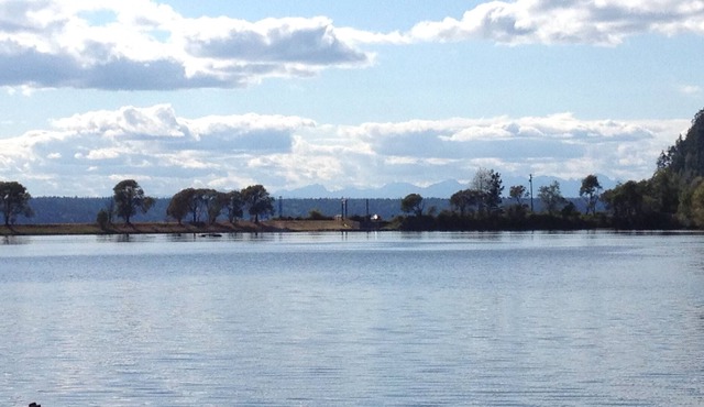 Peaceful Waterfront Cove Cabin with Canoe and SUPs, Perfect for Summer