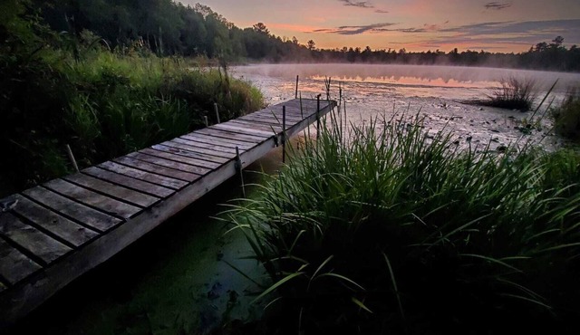 Peaceful Wooded Retreat on Lake Ann