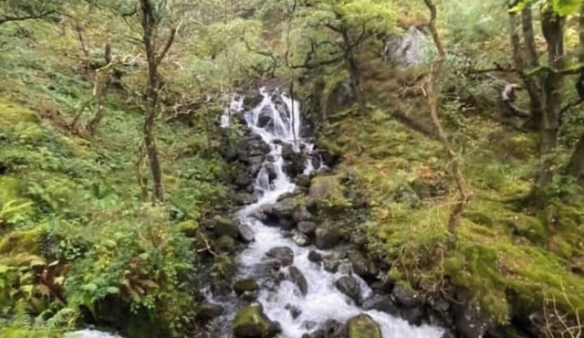 Peaceful, woodland caravan site with pool and bar