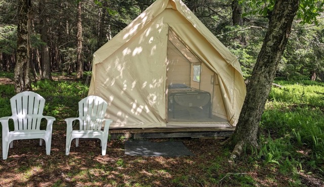 Peaceful Woods Glamping Tent