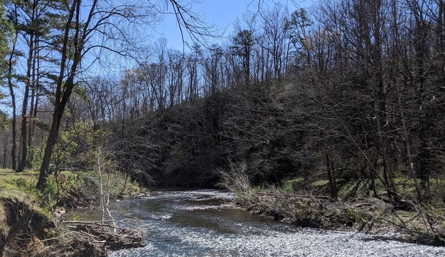 Peacefull, private Cabin! 140 acres,mile of river trails! 10 minutes to Rt.151!