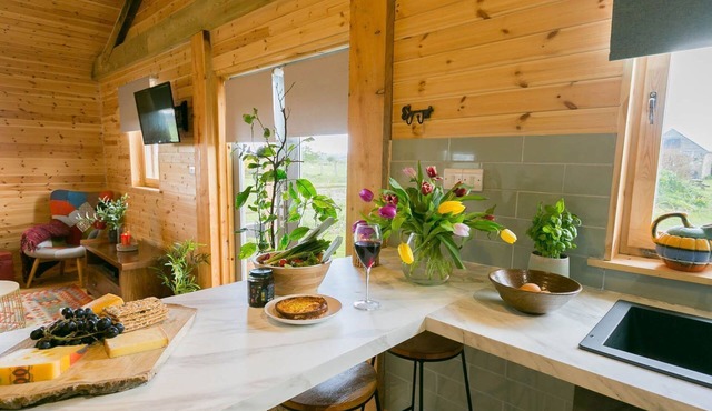 Peacock Cabin - a dog that sleeps 2 guests in 1 bedroom