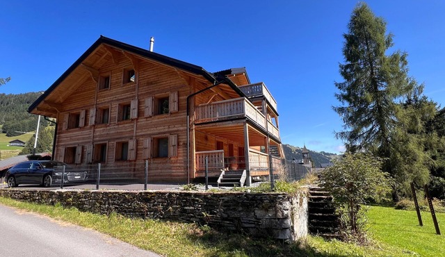 Peak Apartment, ZE Mountain Loge, Morgins