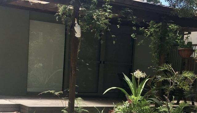 Pearl Beach an easy short level walk - super clean, spacious and comfortable