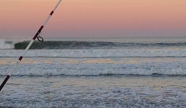 Pearl of the Sea Just steps to the Ocean