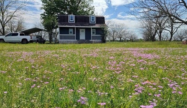 Pecan Farm Cabin