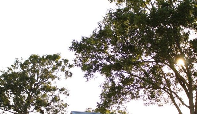 Pecan Tree House - Short drive to Round Top