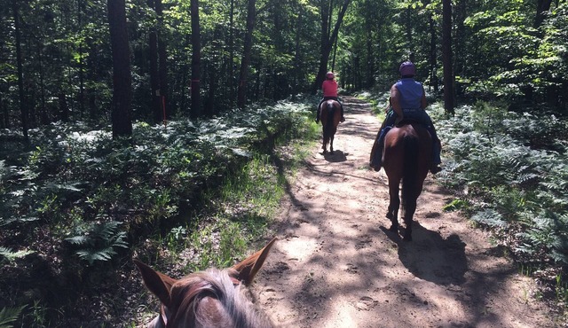 Pegasus Springs Horse Trailer Hookups