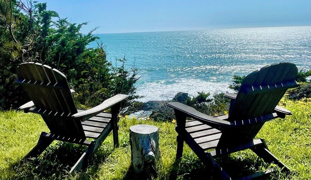 Pelican Point - Oceanfront Blufftop on 1 Acre, Hot Tub, Dog Friendly!