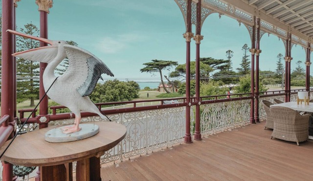 Pelicans at the Ozone