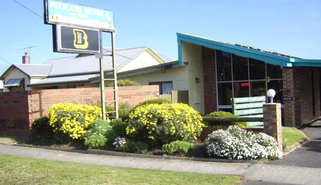 Pelicans Motel San Remo