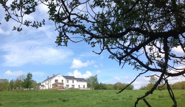 Penddaulwyn Uchaf Farm # Carmarthenshire