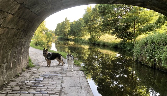 Pendle-Walking-3 bed- Exec Contractor & Long stay!